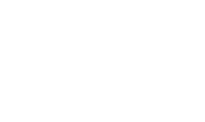 THE JULIE
